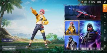 军需最新皮肤爆料,炫酷造型，战力升级！